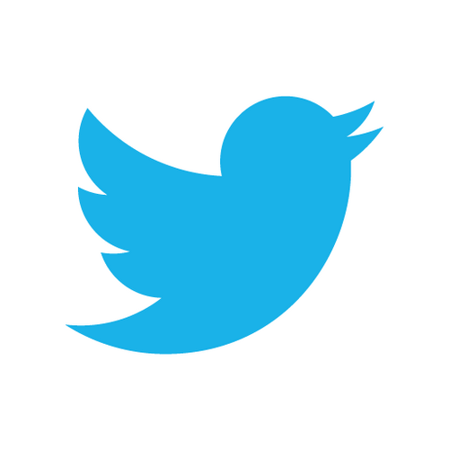 Twitter, Bakan Elvan’ın acıklamasının ardından iki hesap gizlendi